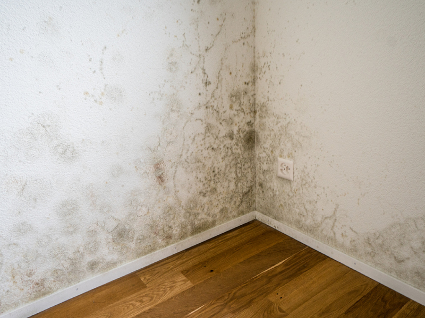 Mold & Asbestos Testing Pine Bush & Middletown, NY GOALS Home